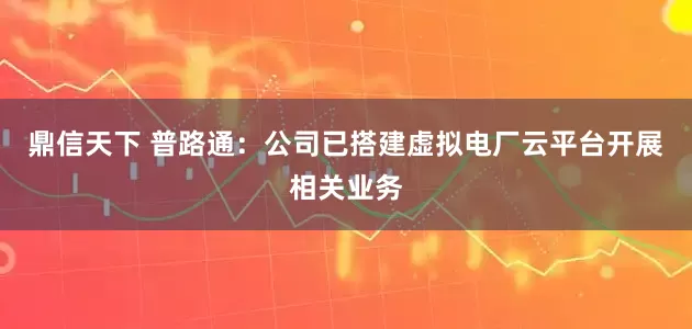 鼎信天下 普路通：公司已搭建虚拟电厂云平台开展相关业务