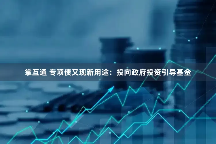 掌互通 专项债又现新用途：投向政府投资引导基金