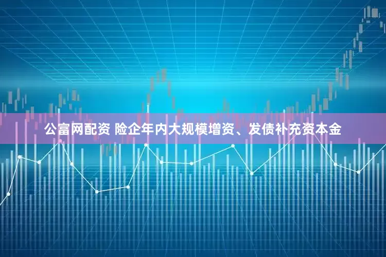 公富网配资 险企年内大规模增资、发债补充资本金