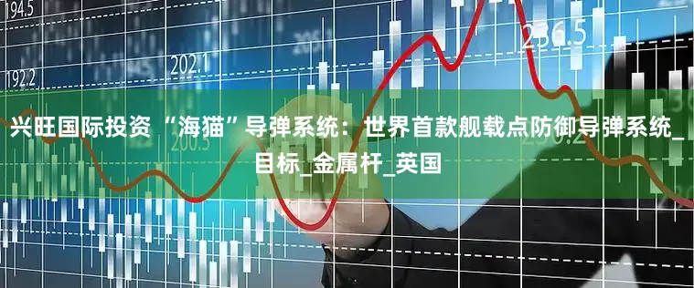 兴旺国际投资 “海猫”导弹系统：世界首款舰载点防御导弹系统_目标_金属杆_英国