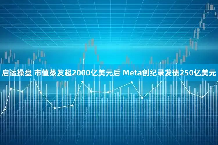启运操盘 市值蒸发超2000亿美元后 Meta创纪录发债250亿美元
