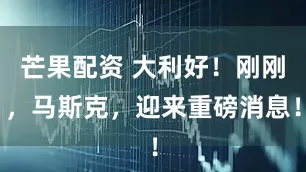 芒果配资 大利好！刚刚，马斯克，迎来重磅消息！