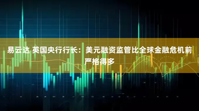 易云达 英国央行行长：美元融资监管比全球金融危机前严格得多